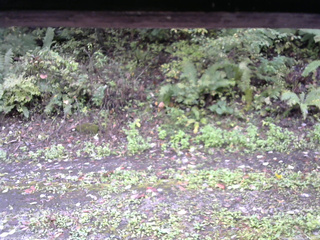 長野県菅平高原 ゆたか山荘 南側 2025/10/06 12:30