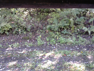 長野県菅平高原 ゆたか山荘 南側 2025/10/06 12:45