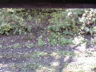 長野県菅平高原 ゆたか山荘 南側 2025/10/06 13:00