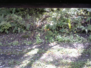 長野県菅平高原 ゆたか山荘 南側 2025/10/06 13:15