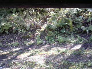 長野県菅平高原 ゆたか山荘 南側 2025/10/06 13:30