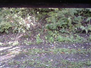 長野県菅平高原 ゆたか山荘 南側 2025/10/06 13:45