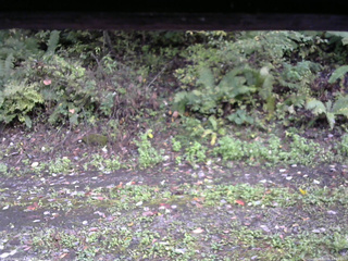 長野県菅平高原 ゆたか山荘 南側 2025/10/06 14:00