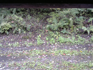 長野県菅平高原 ゆたか山荘 南側 2025/10/06 14:15