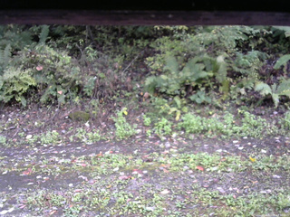 長野県菅平高原 ゆたか山荘 南側 2025/10/06 14:30