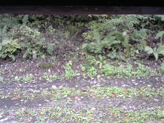 長野県菅平高原 ゆたか山荘 南側 2025/10/06 14:45