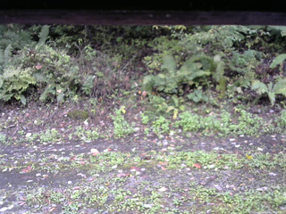 長野県菅平高原 ゆたか山荘 南側 2025/10/06 15:00