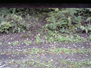 長野県菅平高原 ゆたか山荘 南側 2025/10/06 15:30