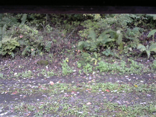 長野県菅平高原 ゆたか山荘 南側 2025/10/06 15:45