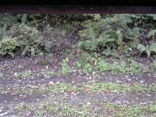 長野県菅平高原 ゆたか山荘 南側 2025/10/06 16:00