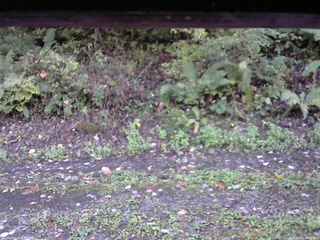 長野県菅平高原 ゆたか山荘 南側 2025/10/06 16:15