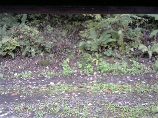 長野県菅平高原 ゆたか山荘 南側 2025/10/06 16:30