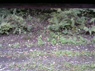 長野県菅平高原 ゆたか山荘 南側 2025/10/06 16:45