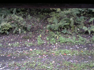 長野県菅平高原 ゆたか山荘 南側 2025/10/06 17:15