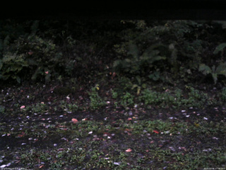 長野県菅平高原 ゆたか山荘 南側 2025/10/06 17:30