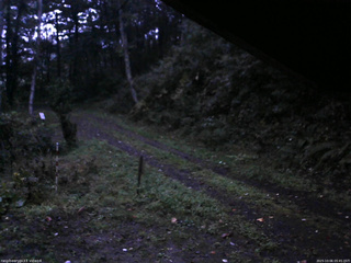 長野県菅平高原 ゆたか山荘 東側(坂下) 2025/10/06 05:45
