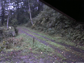 長野県菅平高原 ゆたか山荘 東側(坂下) 2025/10/06 06:00