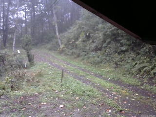 長野県菅平高原 ゆたか山荘 東側(坂下) 2025/10/06 09:00