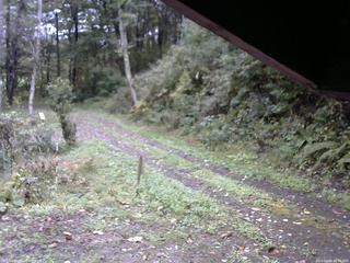 長野県菅平高原 ゆたか山荘 東側(坂下) 2025/10/06 10:30