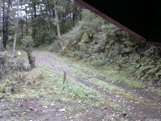 長野県菅平高原 ゆたか山荘 東側(坂下) 2025/10/06 10:45