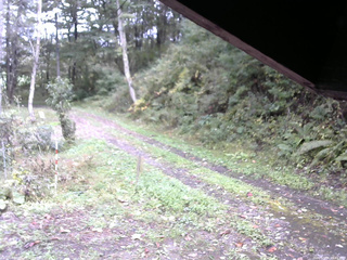 長野県菅平高原 ゆたか山荘 東側(坂下) 2025/10/06 11:45