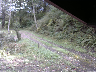 長野県菅平高原 ゆたか山荘 東側(坂下) 2025/10/06 12:00