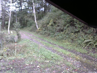 長野県菅平高原 ゆたか山荘 東側(坂下) 2025/10/06 14:00