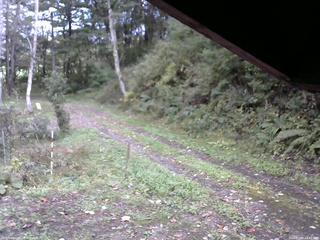 長野県菅平高原 ゆたか山荘 東側(坂下) 2025/10/06 14:45