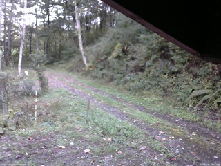 長野県菅平高原 ゆたか山荘 東側(坂下) 2025/10/06 16:15