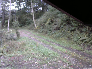 長野県菅平高原 ゆたか山荘 東側(坂下) 2025/10/06 16:30