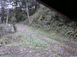 長野県菅平高原 ゆたか山荘 東側(坂下) 2025/10/06 16:45