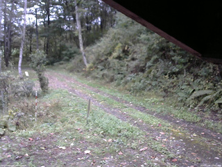 長野県菅平高原 ゆたか山荘 東側(坂下) 2025/10/06 17:00