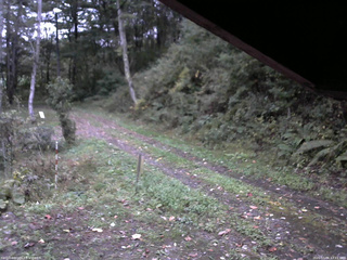 長野県菅平高原 ゆたか山荘 東側(坂下) 2025/10/06 17:15