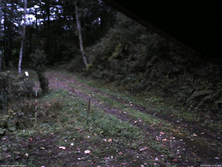 長野県菅平高原 ゆたか山荘 東側(坂下) 2025/10/06 17:30