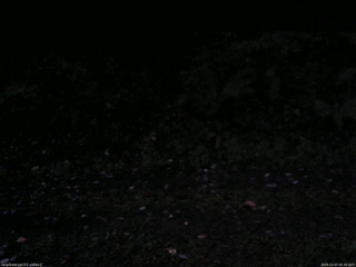 長野県菅平高原 ゆたか山荘 南側 2025/10/07 05:30