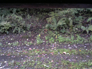 長野県菅平高原 ゆたか山荘 南側 2025/10/07 05:45