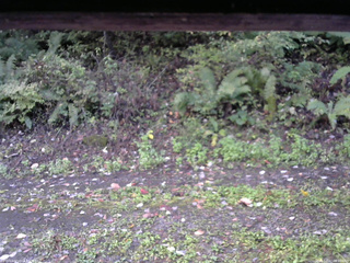 長野県菅平高原 ゆたか山荘 南側 2025/10/07 06:00