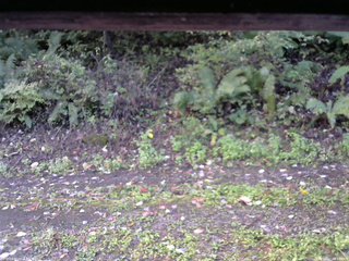 長野県菅平高原 ゆたか山荘 南側 2025/10/07 06:15