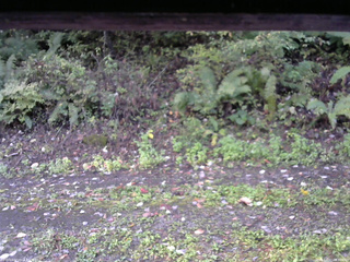 長野県菅平高原 ゆたか山荘 南側 2025/10/07 06:30