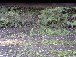 長野県菅平高原 ゆたか山荘 南側 2025/10/07 06:45