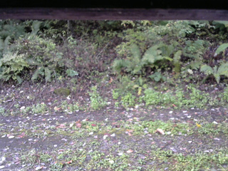 長野県菅平高原 ゆたか山荘 南側 2025/10/07 07:00