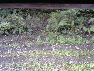 長野県菅平高原 ゆたか山荘 南側 2025/10/07 07:15