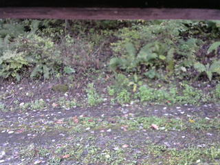 長野県菅平高原 ゆたか山荘 南側 2025/10/07 07:30