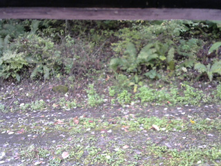 長野県菅平高原 ゆたか山荘 南側 2025/10/07 07:45