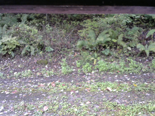 長野県菅平高原 ゆたか山荘 南側 2025/10/07 08:00