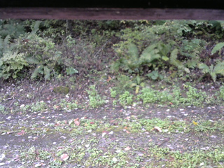 長野県菅平高原 ゆたか山荘 南側 2025/10/07 08:15