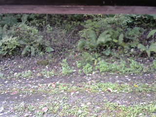 長野県菅平高原 ゆたか山荘 南側 2025/10/07 08:30