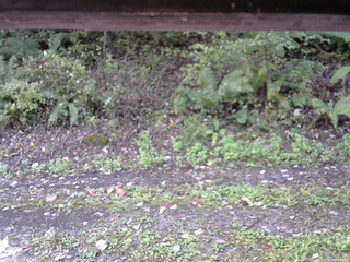 長野県菅平高原 ゆたか山荘 南側 2025/10/07 08:45