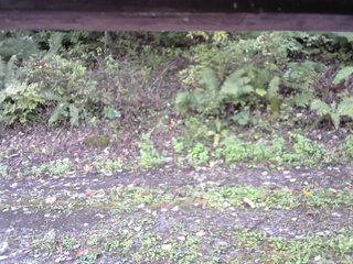 長野県菅平高原 ゆたか山荘 南側 2025/10/07 09:00