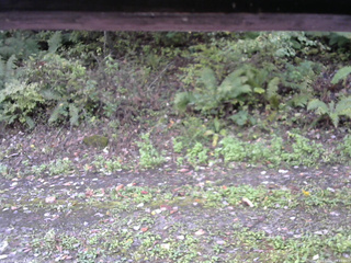 長野県菅平高原 ゆたか山荘 南側 2025/10/07 09:15